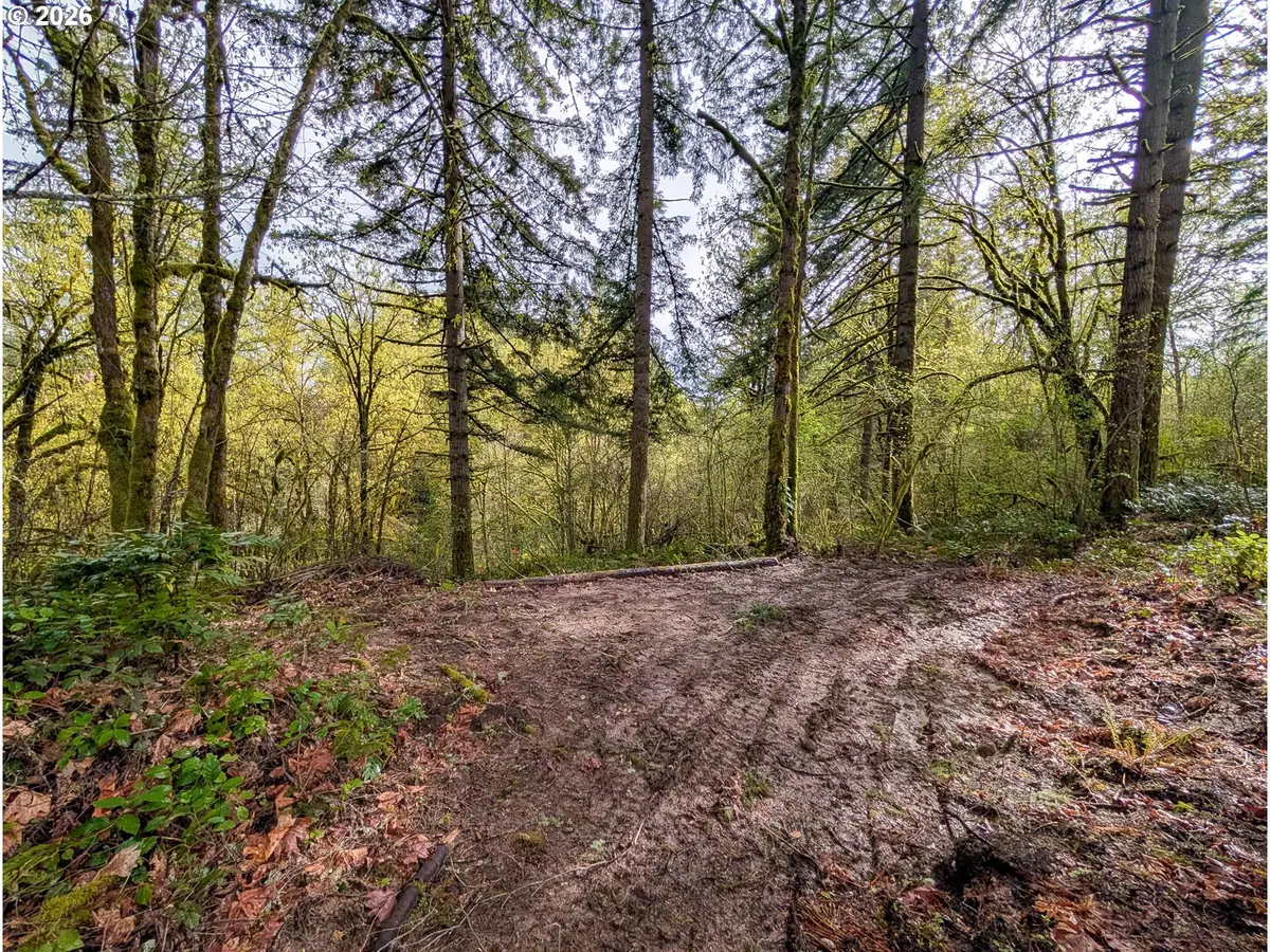 000 NE Finalburg Rd, La Center, WA 98629 - #1