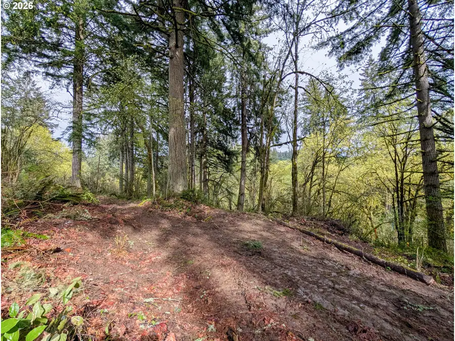 000 NE Finalburg Rd, La Center, WA 98629 - #3