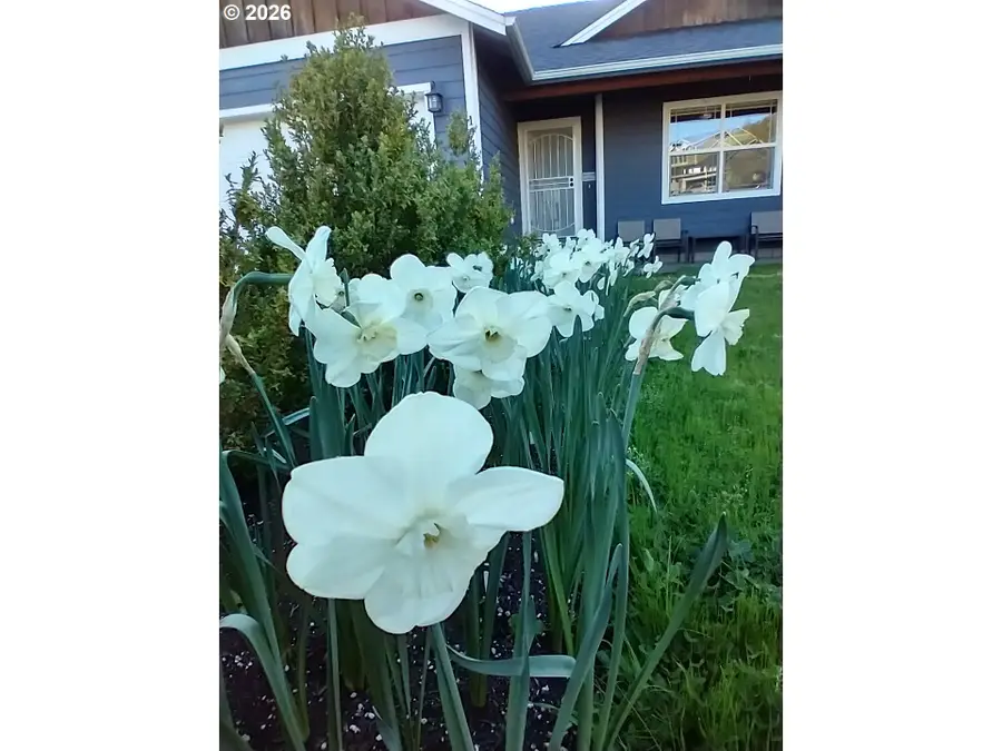 1944 NE Sunset Loop Dr, Roseburg, OR 97470 - #3