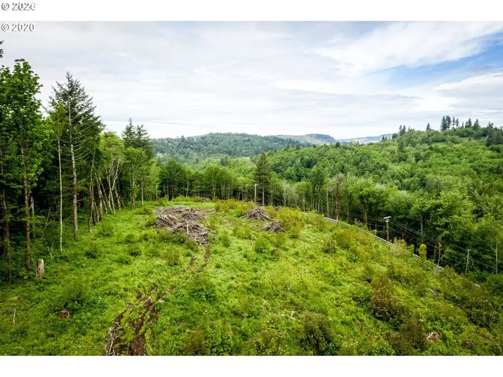 0 Mt Pleasant Dr, Washougal, WA 98671 - #1