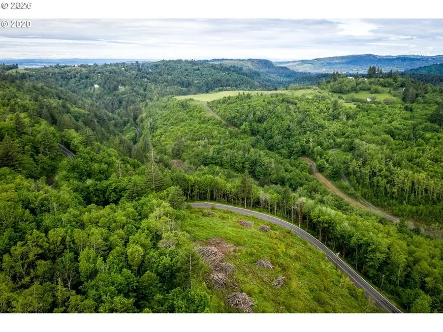 0 Mt Pleasant Dr, Washougal, WA 98671 - #3