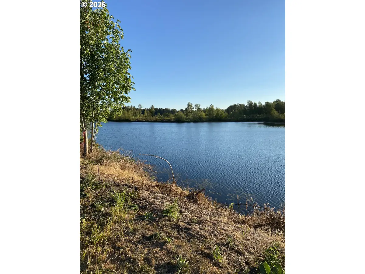 243 Collins Rd, Toledo, WA 98591 - #1