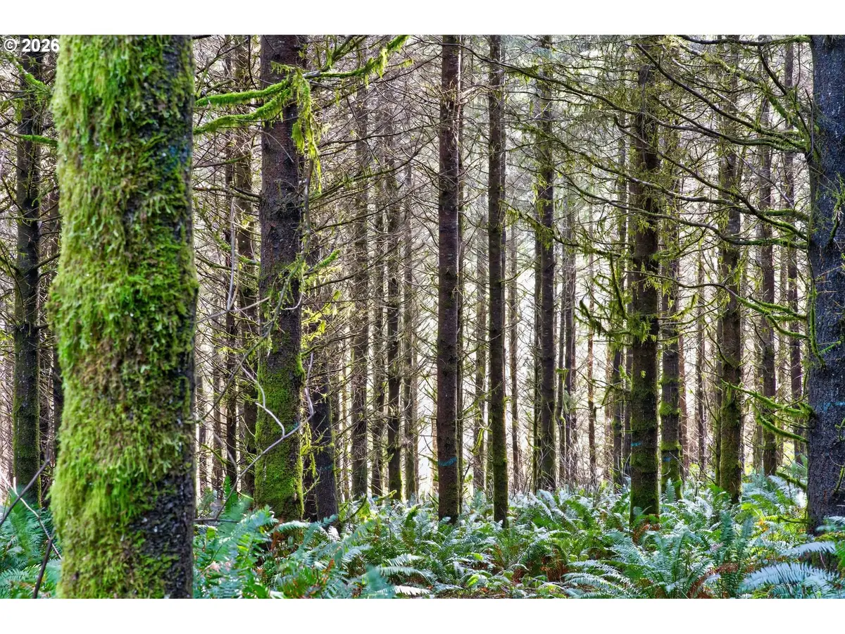 0 S Hwy 42, Coquille, OR 97423 - #1
