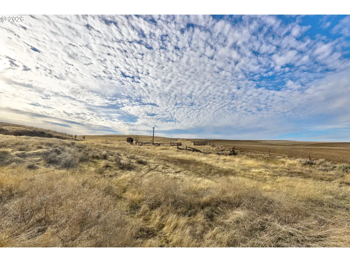 62722 Hart Rd, Moro, OR 97039 - #1