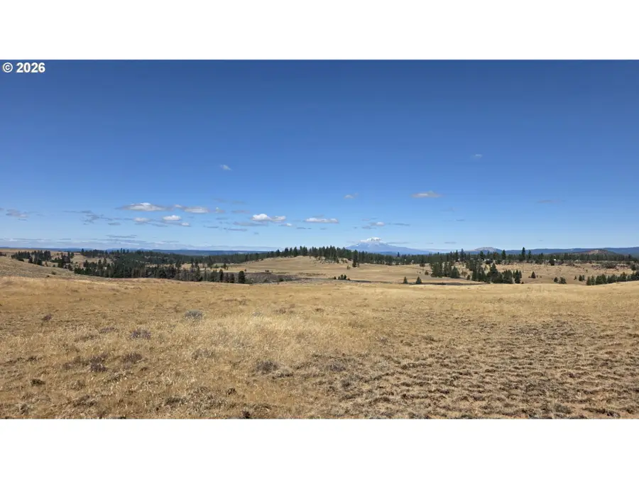 Nka Olson Rd #3, Centerville, WA 98613 - #2