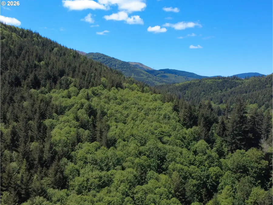 Rose Valley Rd, Kelso, WA 98626 - #2