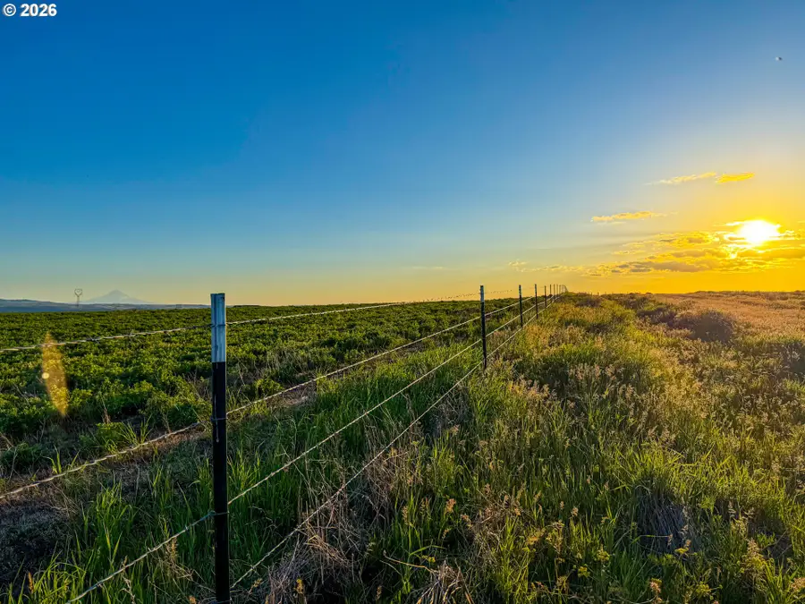 35 Buddy Ln, Goldendale, WA 98620 - #2