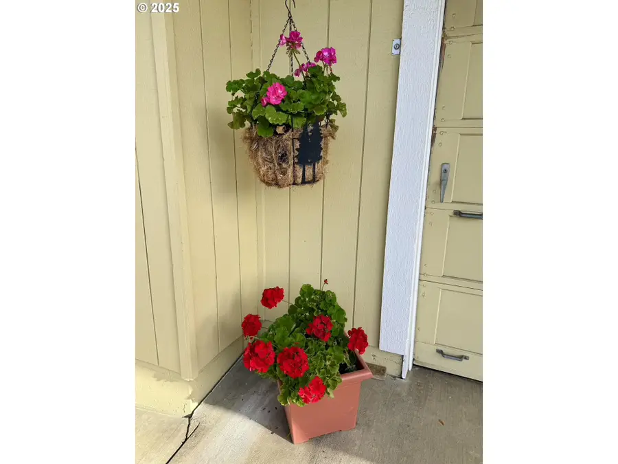 159 NE Lombardy Dr, Roseburg, OR 97470 - Image #2