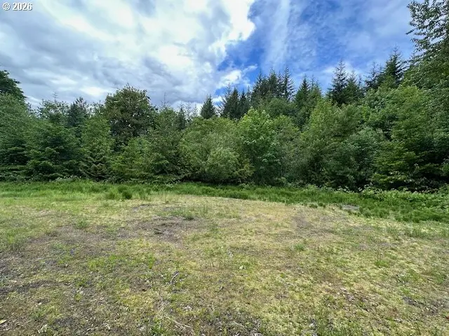 257 Serenity Ln, Kalama, WA 98625 - #1