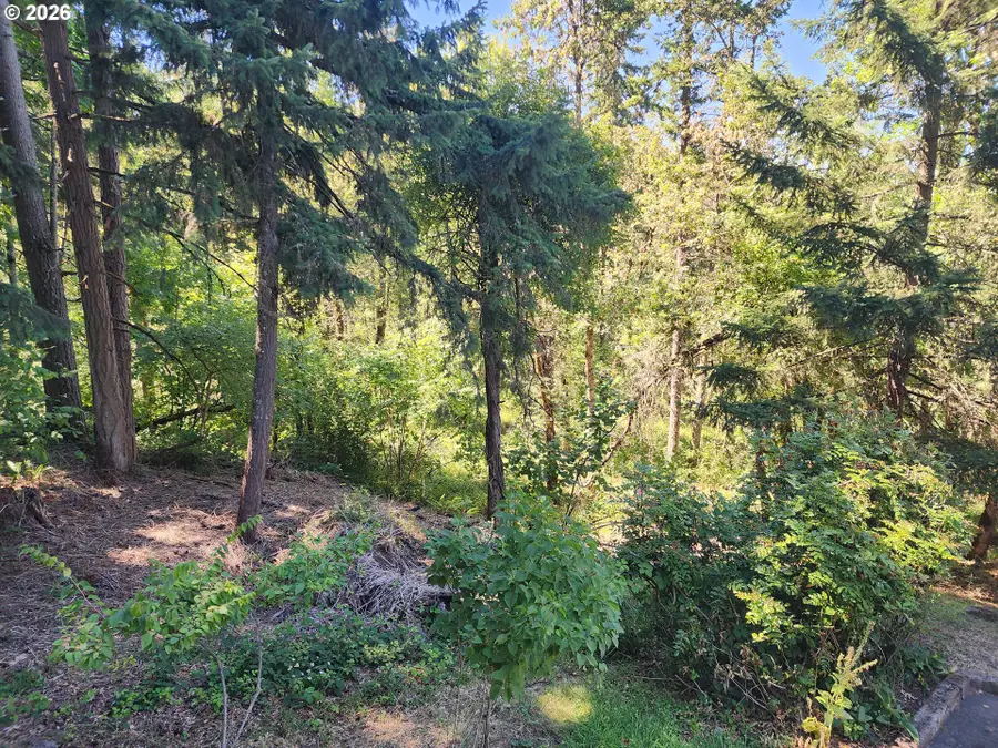 202 Foxtail Dr, Eugene, OR 97405 - #3
