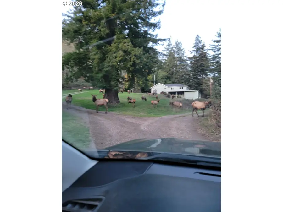 16870 Thompson Rd, Brookings, OR 97415 - #3