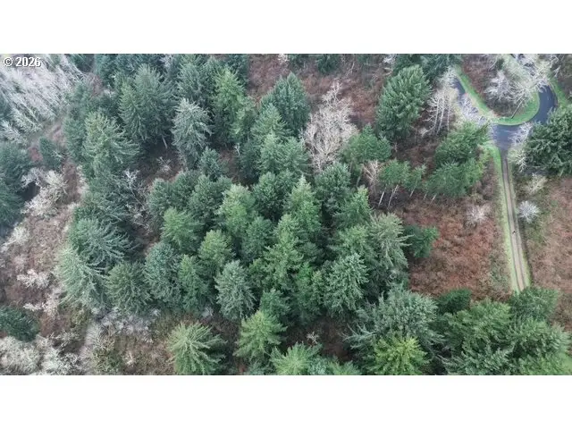 Herman Cape Rd Tl400, Florence, OR 97439 - #1