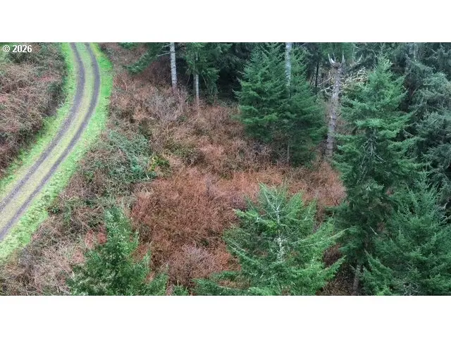 Herman Cape Rd Tl400, Florence, OR 97439 - #3