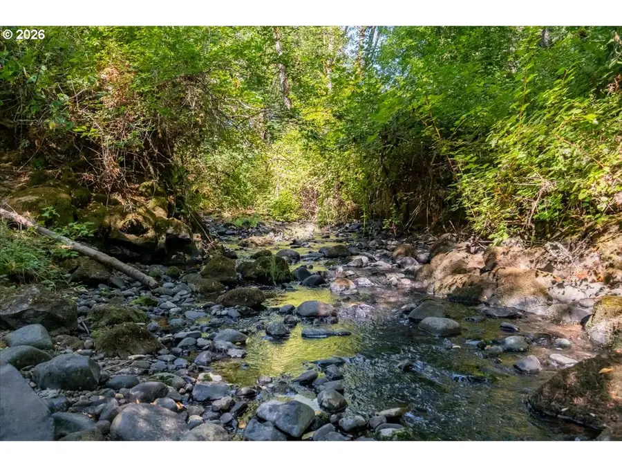 8810 (8840) Hebo Rd, Fort Hill, OR 97347 - #3