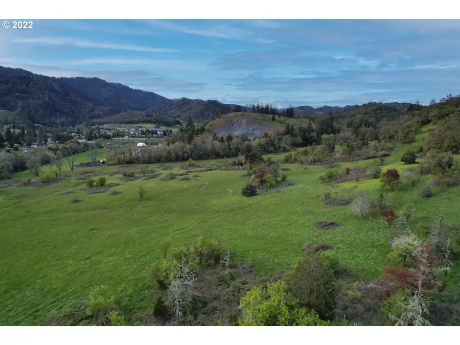 1171 NE Division St, Myrtle Creek, OR 97457 - #3