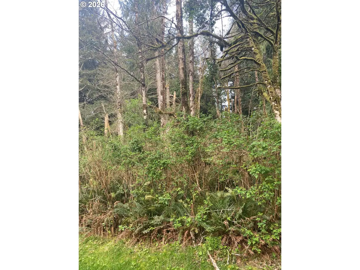1000 SE 54th Dr, Lincolncity, OR 97367 - #1