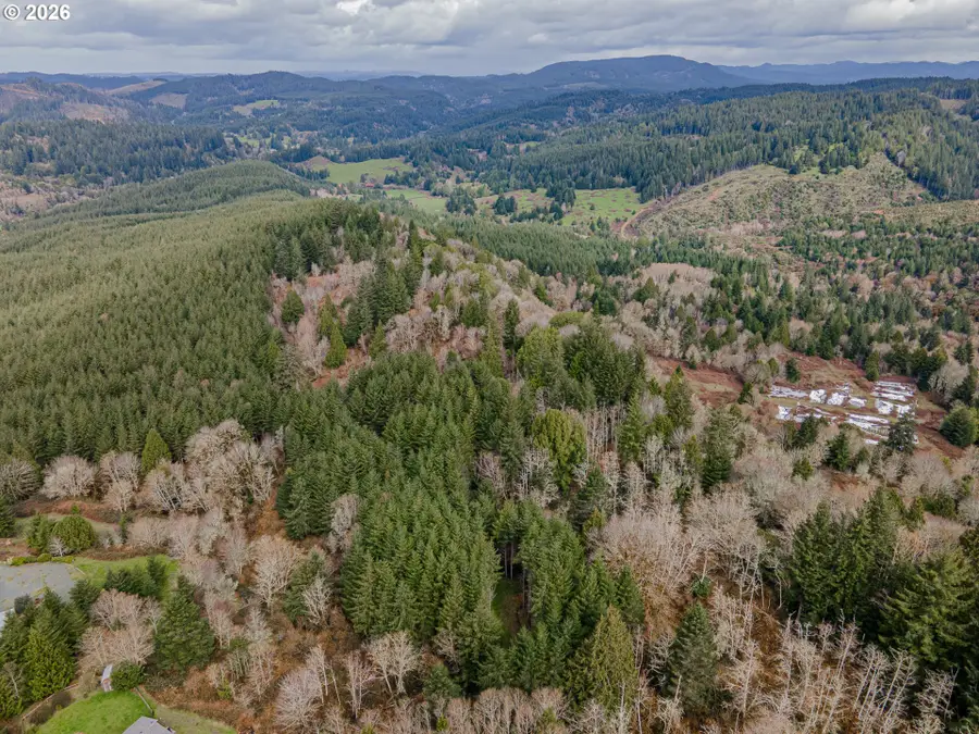 00 Elderberry, Coquille, OR 97423 - #2