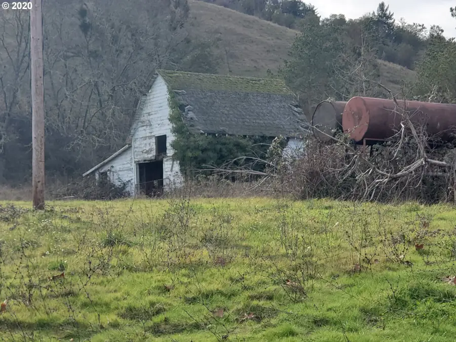 161 Vintage Ln, Tenmile, OR 97457 - #3