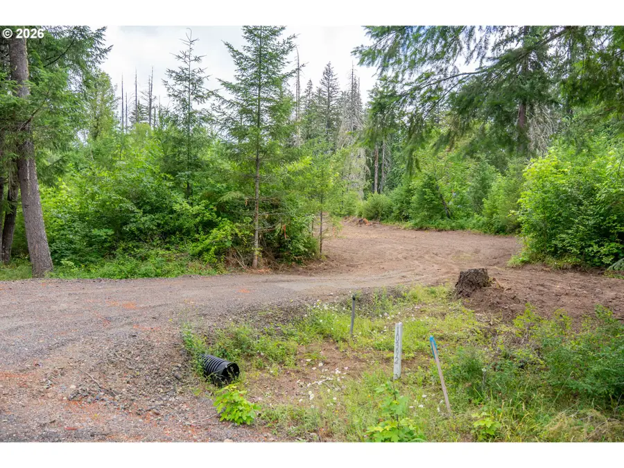 10392 Wind River Hwy, Carson, WA 98610 - #2