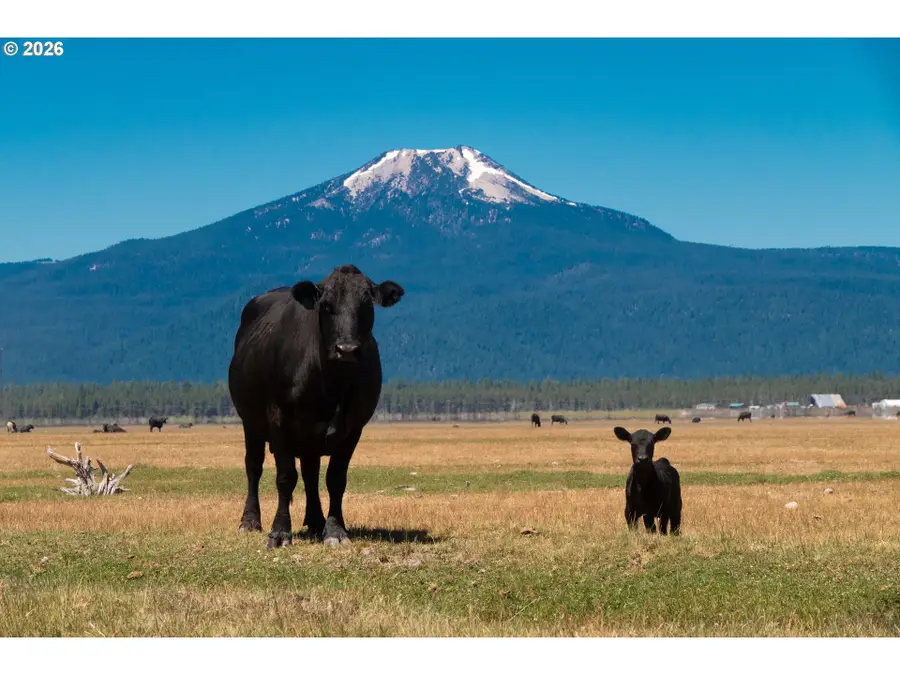 1950 Silver Lake Rd, Chiloquin, OR 97624 - #2