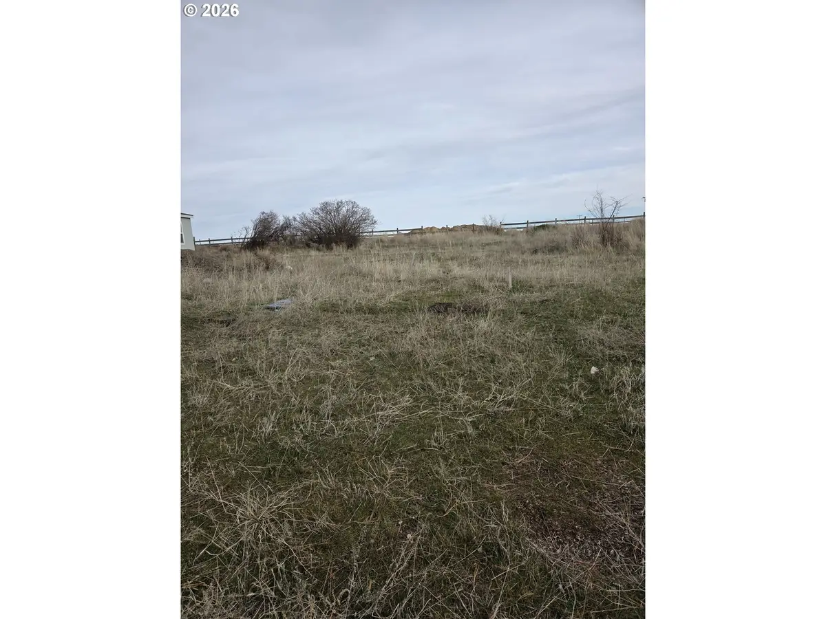 S Bryan St, Condon, OR 97823 - #1