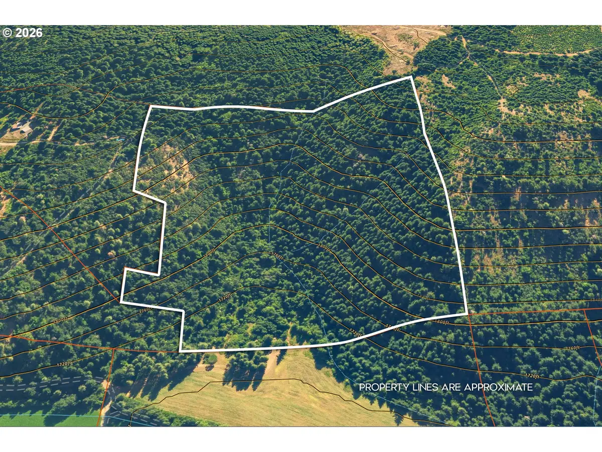 Stoller Rd, Trout Lake, WA 98650 - #1