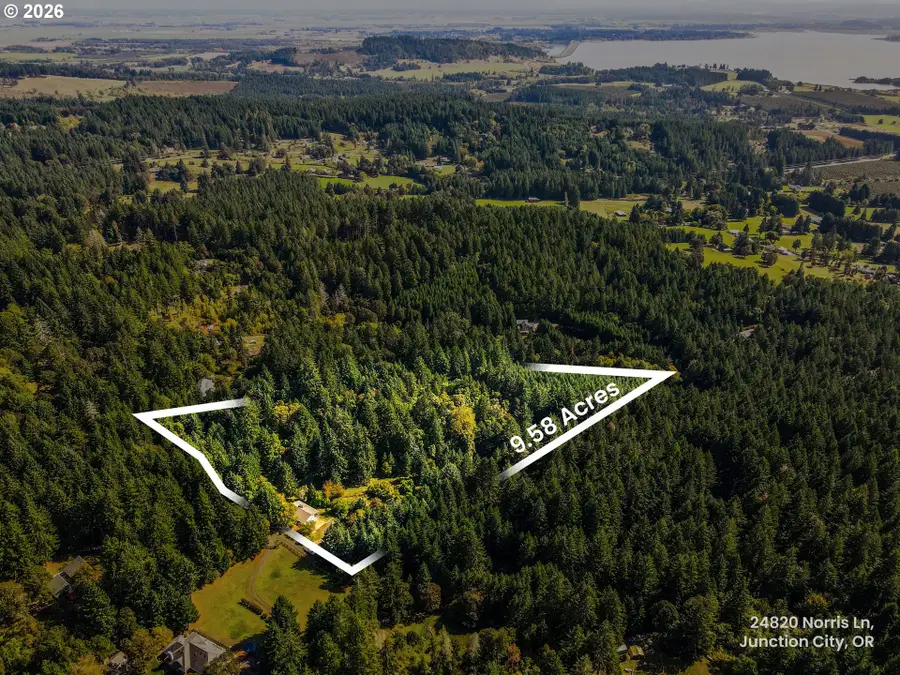 24820 Norris Ln, Badger Mountain, OR 97448 - #2