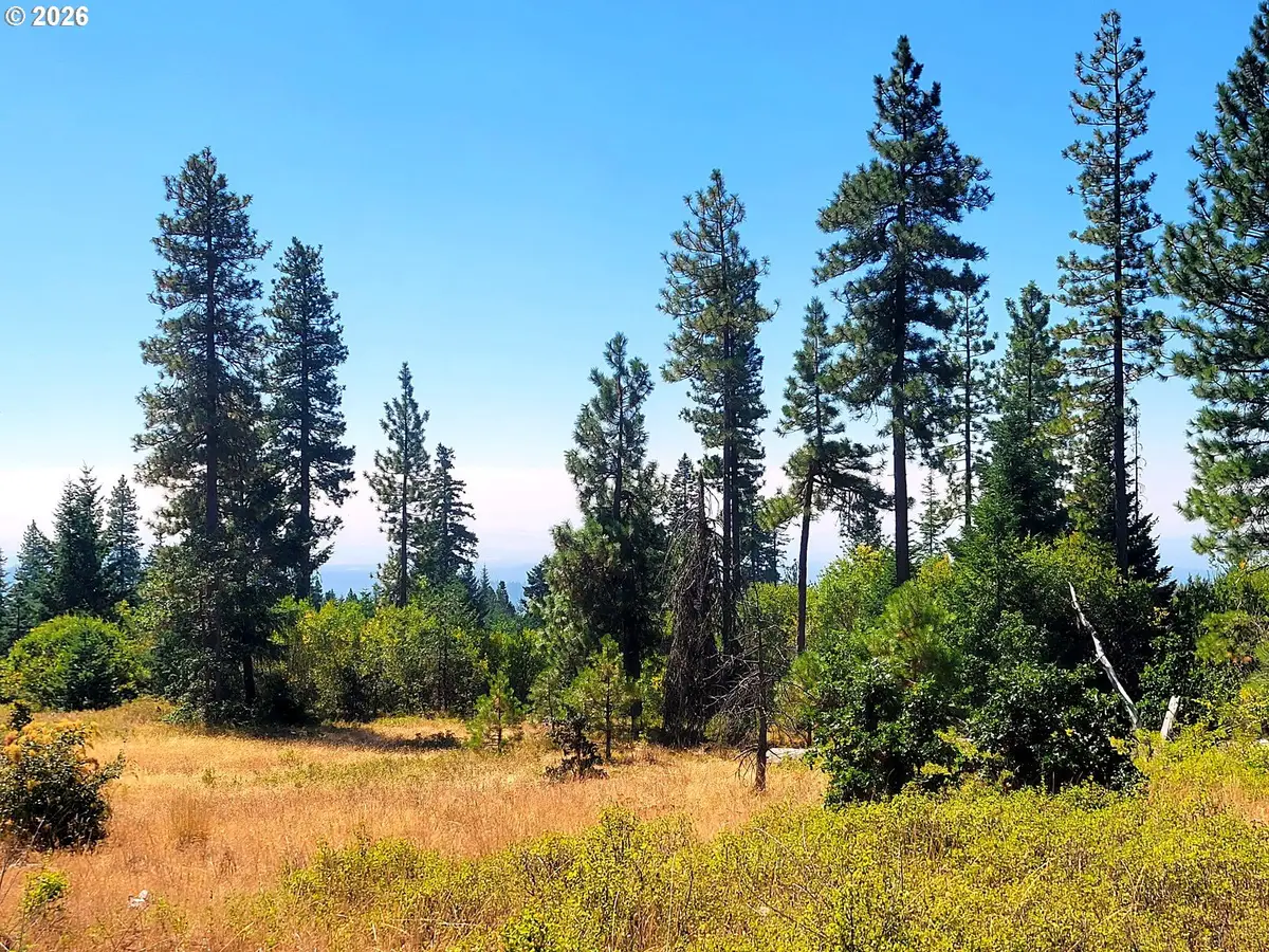 3 Simcoe Mtn Rsrv, Goldendale, WA 98620 - #1