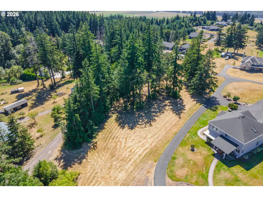 165 Saturn Ave, Woodland, WA 98674 - #2