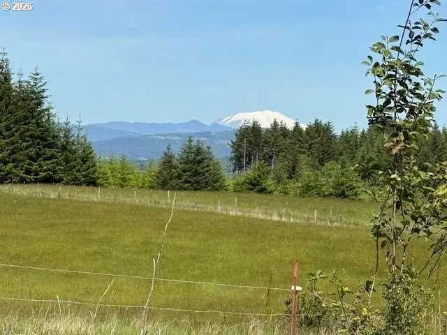65748 Meissner Rd, Goble, OR 97054 - #1