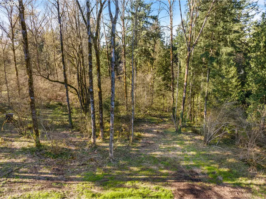 NE Sumac Ct, Brush Prairie, WA 98606 - #3