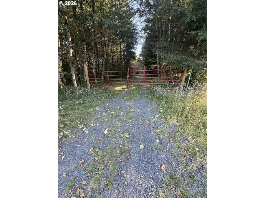 217 Ham Rd, Amboy, WA 98601 - #3