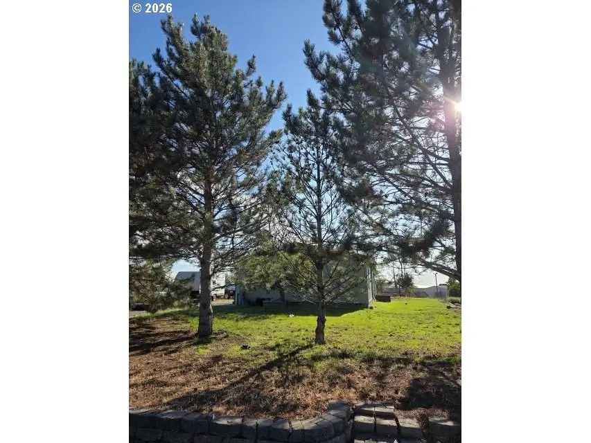 225 NE Marshall Loop, Boardman, OR 97818 - #2