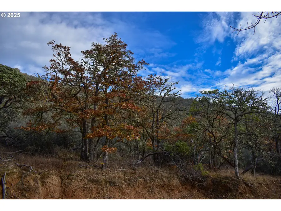 1379 Humbug Creek Rd, Applegate, OR 97530 - Image #2