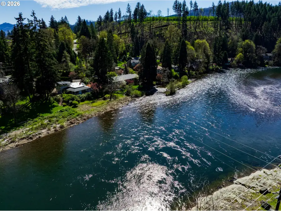 91082 Leashore Dr, Vida, OR 97488 - #3