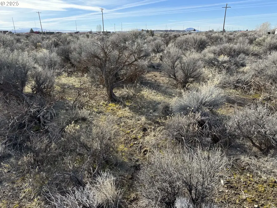 Aspen #20800, Christmas Valley, OR 97641 - Image #2