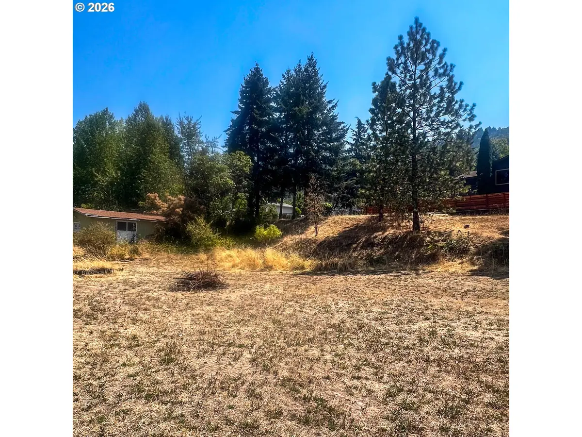 411 Wood Crest Dr, Tri City, OR 97457 - #1
