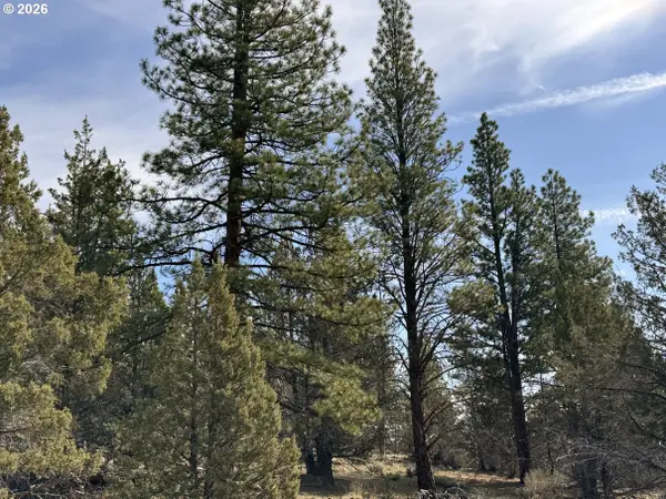 Off Hwy 140 #900, Beatty, OR 97621