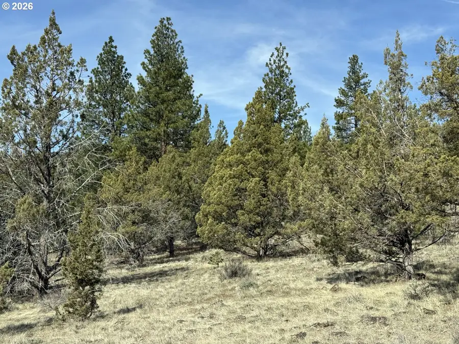 Off Hwy 140 #900, Beatty, OR 97621 - #3