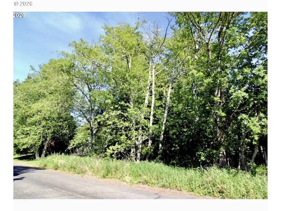 32206 R Pl, Long Beach North Beach Peninsula, WA 98640 - #3