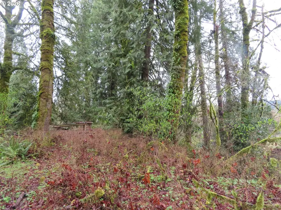 235 Anchor Rd, Castle Rock, WA 98611 - #2