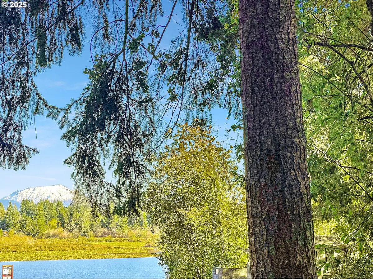 300 Kerr Rd, Silverlake, WA 98645 - Image #1