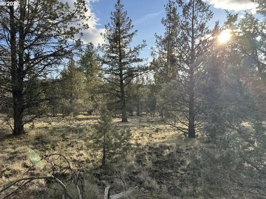 Canvasback Dr #36, Bonanza, OR 97623 - #2