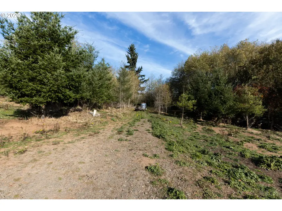 Palm Creek Rd, Clatskanie, OR 97016 - #2