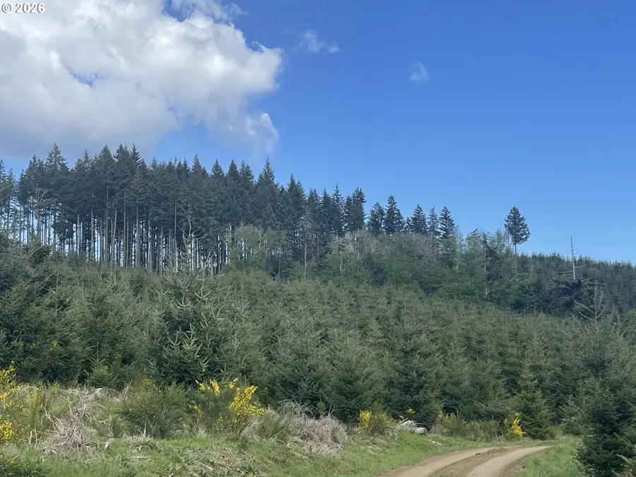 Rock Creek Rd, Sheridan, OR 97378 - #2