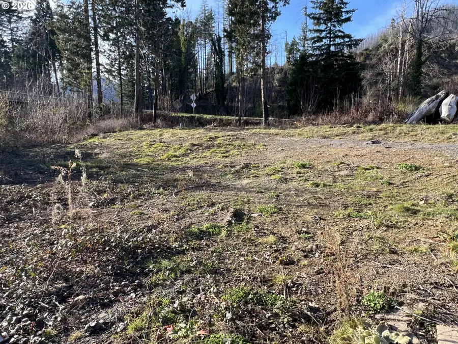 91241 Blue River Rd, McKenzie River, OR 97413 - #3