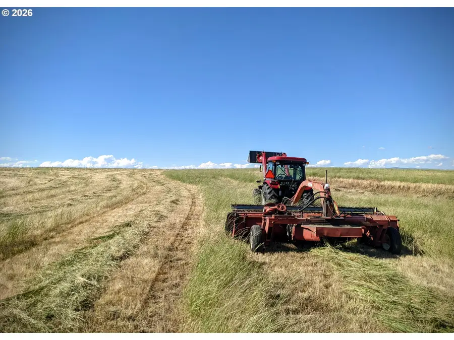 905 Randall Rd #Lot 2, Centerville, WA 98613 - #3