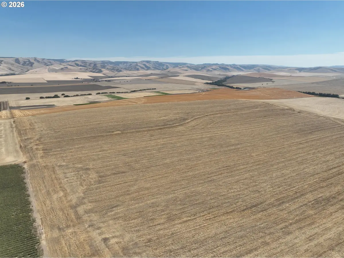 Birch Creek Rd, Miltonfreewater, OR 97862 - #1