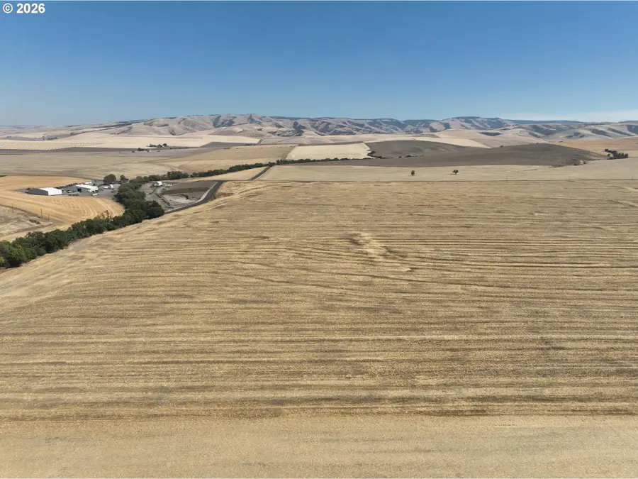Birch Creek Rd, Miltonfreewater, OR 97862 - #3