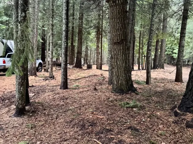 58466 Wildwood Loop, Weston, OR 97886 - Image #3